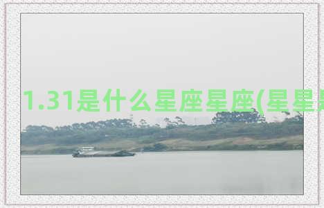 1.31是什么星座星座(星星是什么星)