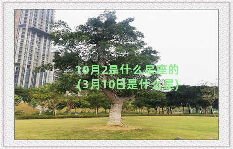 10月2是什么星座的(3月10日是什么星)