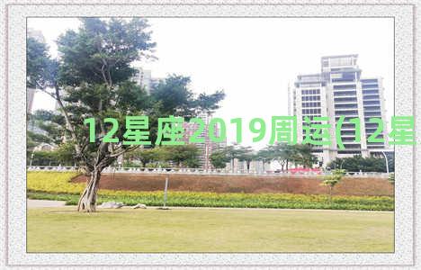 12星座2019周运(12星座2023)