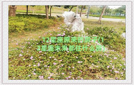 12星座原来的房子(12星座未来都住什么房)