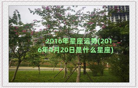 2016年星座运势(2016年4月20日是什么星座)