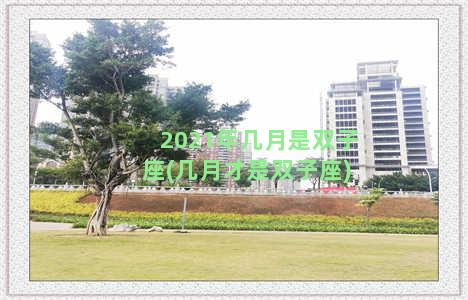 2021年几月是双子座(几月才是双子座)