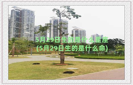 5月29日生的是什么星座(5月29日生的是什么命)