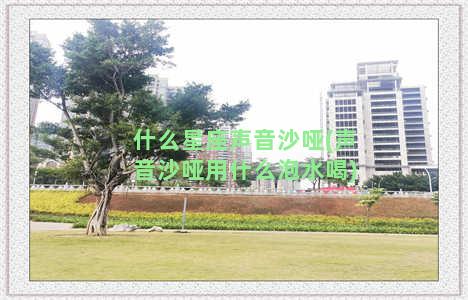 什么星座声音沙哑(声音沙哑用什么泡水喝)