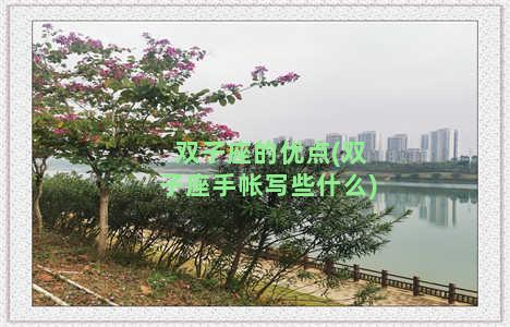 双子座的优点(双子座手帐写些什么)