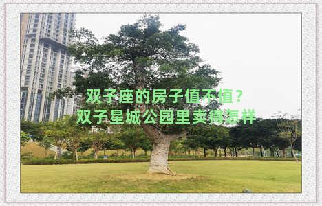 双子座的房子值不值？双子星城公园里卖得怎样