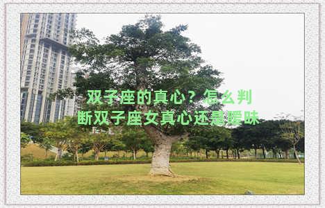 双子座的真心？怎么判断双子座女真心还是暧昧