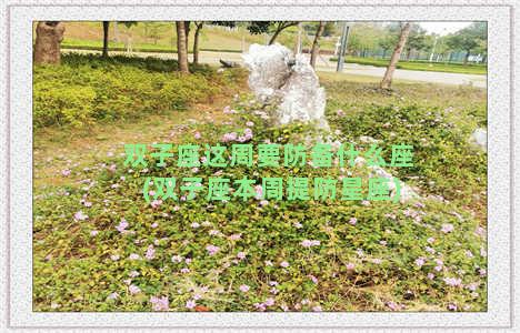 双子座这周要防备什么座(双子座本周提防星座)