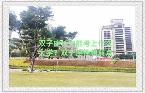 双子座长大能考上什么大学？双子座性格弱点