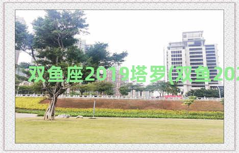 双鱼座2019塔罗(双鱼2021年塔罗)