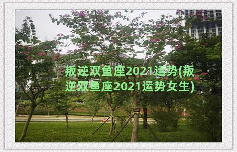 叛逆双鱼座2021运势(叛逆双鱼座2021运势女生)