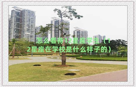 怎么看待12星座学生（12星座在学校是什么样子的）