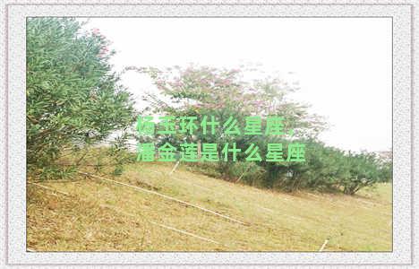 杨玉环什么星座，潘金莲是什么星座