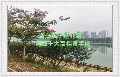 海口双子座介绍，海口十大高档写字楼