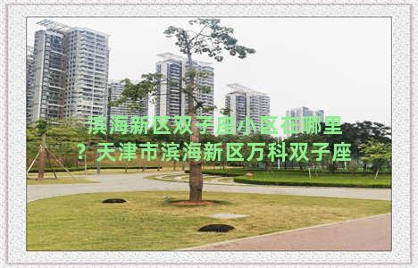 滨海新区双子座小区在哪里？天津市滨海新区万科双子座