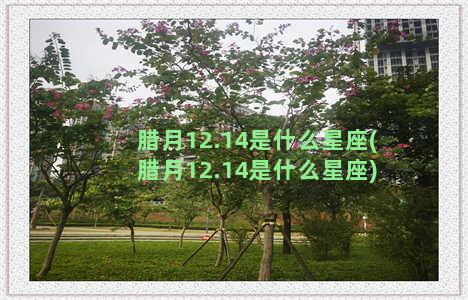 腊月12.14是什么星座(腊月12.14是什么星座)