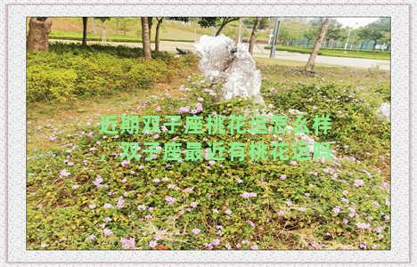 近期双子座桃花运怎么样，双子座最近有桃花运吗