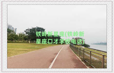 铁岭新星座(铁岭新星座口才学校电话)