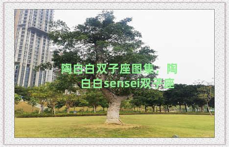 陶白白双子座图集，陶白白sensei双子座