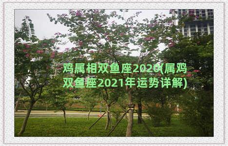 鸡属相双鱼座2020(属鸡双鱼座2021年运势详解)